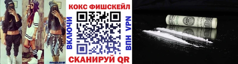 Купить где  Аргун  COCAIN Fish Scale 