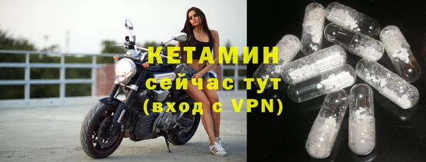 шишки Надым
