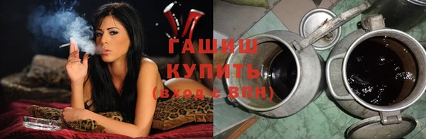 шишки Надым