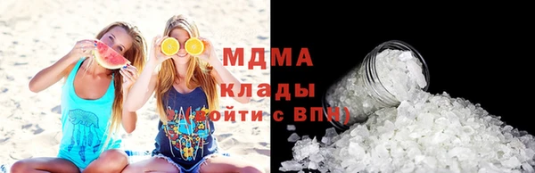 шишки Надым