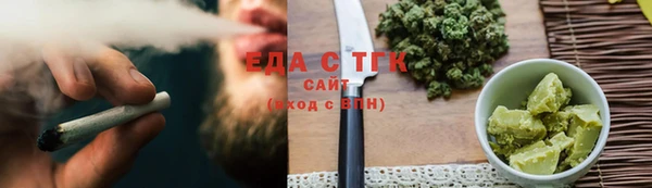 шишки Надым