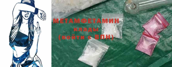 шишки Надым