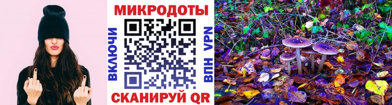 Галлюциногенные грибы Psilocybe Купить Аргун